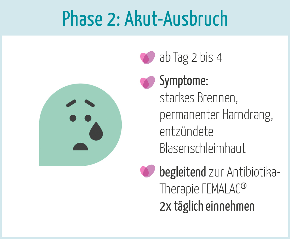 Phase 2 des Verlaufs einer Blasenentzündung: Akuter Ausbruch mit verstärkten Symptomen.