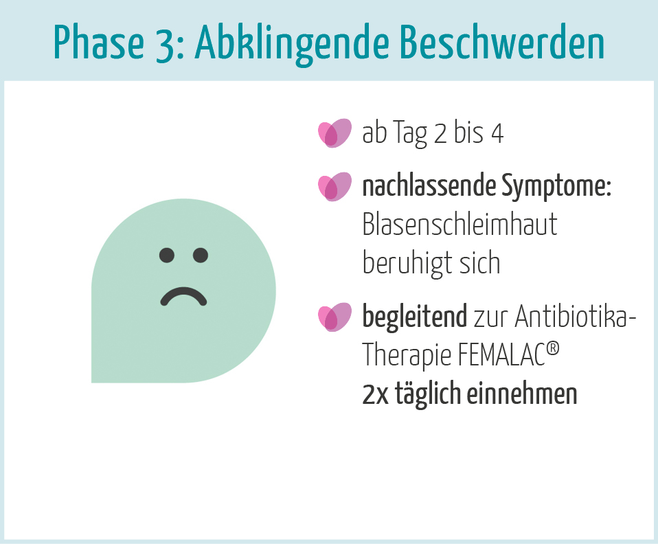 Phase 3 des Verlaufs einer Blasenentzündung: Abklingende Symptome.